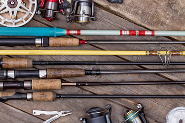 Rod & Reels