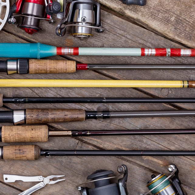 Rod & Reels