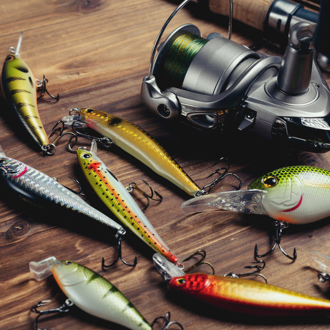 Hard Baits