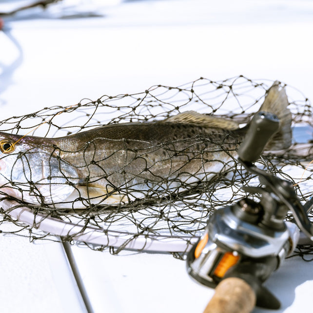 Inshore Baits