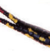 Betts Spin 1/16 Value Pack Split Tail Black Coach Dog