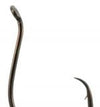 Tru Turn Boss Kat Octopus Circle Hook Black Nickel Size 6/0 5ct