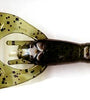Net Bait Paca Craw 8bg Green Pumpkin