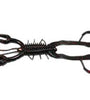 Net Bait HardyTack Craw 8bg Black Neon