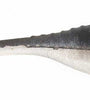 Bass A Pro Tiny Shad 2" 15ct Black Shad